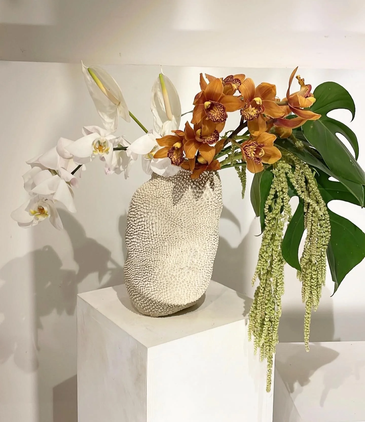 17386D92-A2B9-451C-B7DA-5F36F273CBD8