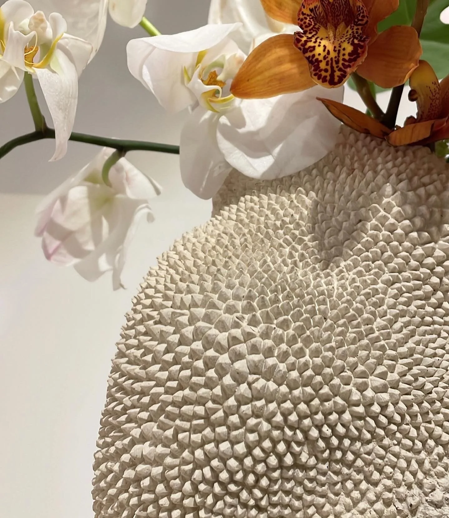 4C69167C-A8F0-4CF7-9C6E-BD7873C8CA09