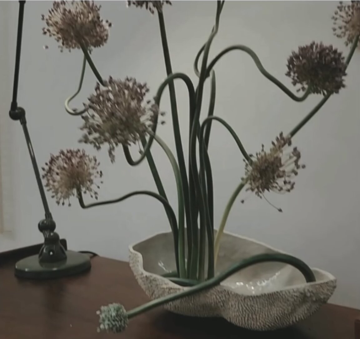 A7F962F9-83E9-46BA-993E-32EC28A49EFE