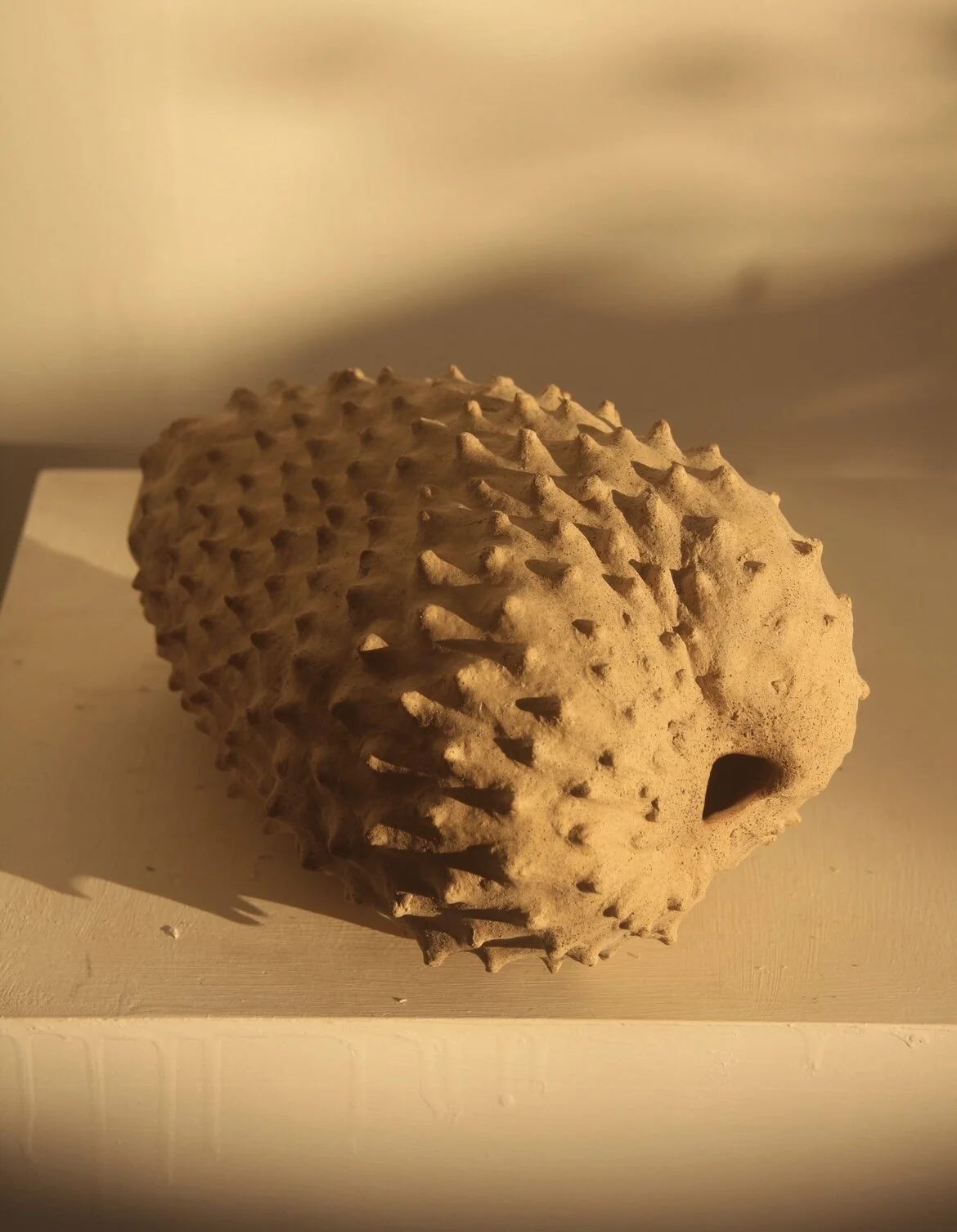 F6BD2760-036A-4177-9A5F-A1F5690FD968