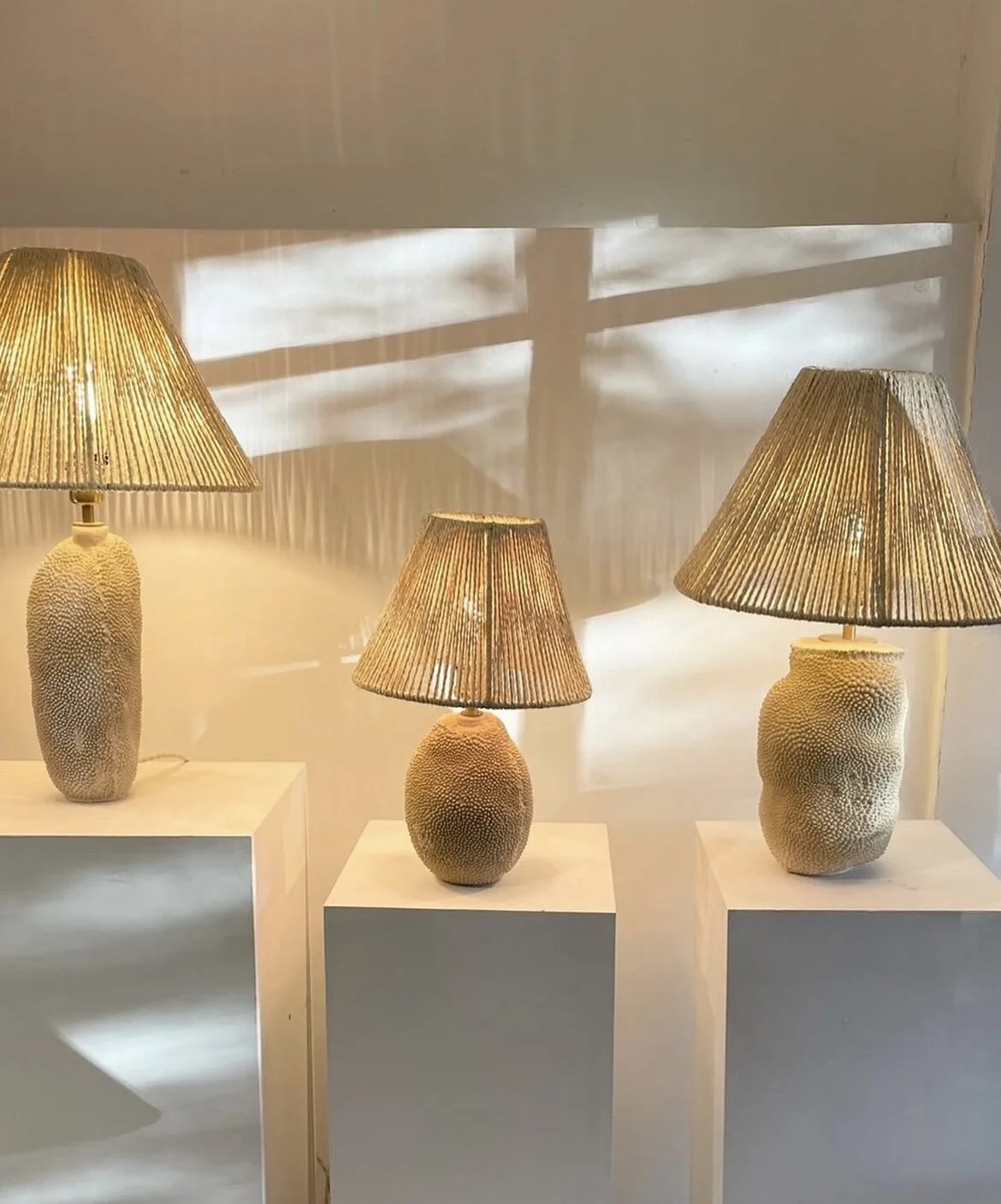 CC14BECF-FACB-4BDD-BAFF-A2831D3DDB26