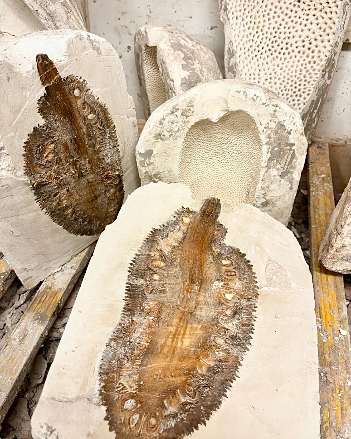 Love the processo 🍈
Every jaca becomes a small universe: textura, forma, sil&ecirc;ncio. Mixing plaster. Fa&ccedil;o o molde em gesso pra capturar cada detalhe. Each jaca has its own vibe and I get totally attached. I love the feeling of immortalizi