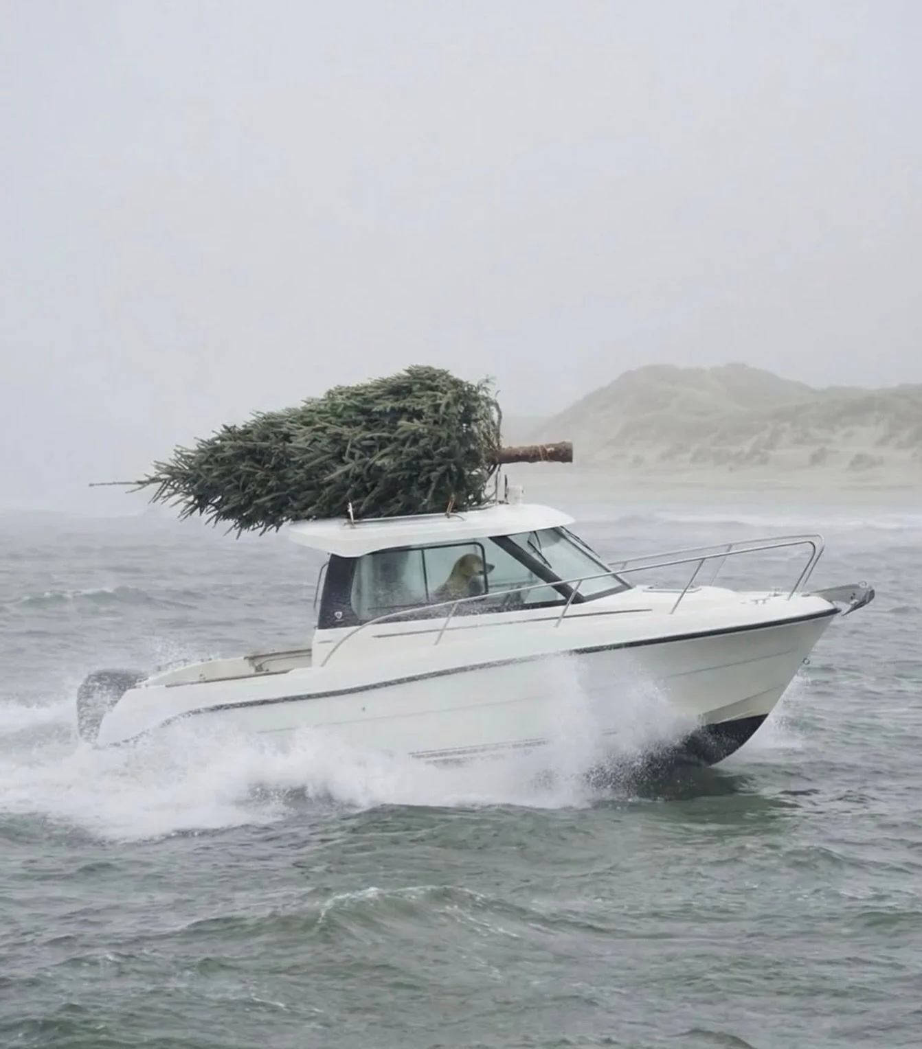 Final days before we close the atelier for the Christmas holidays 🌲 Let us know if we can help with any last-minute gifts! 💌