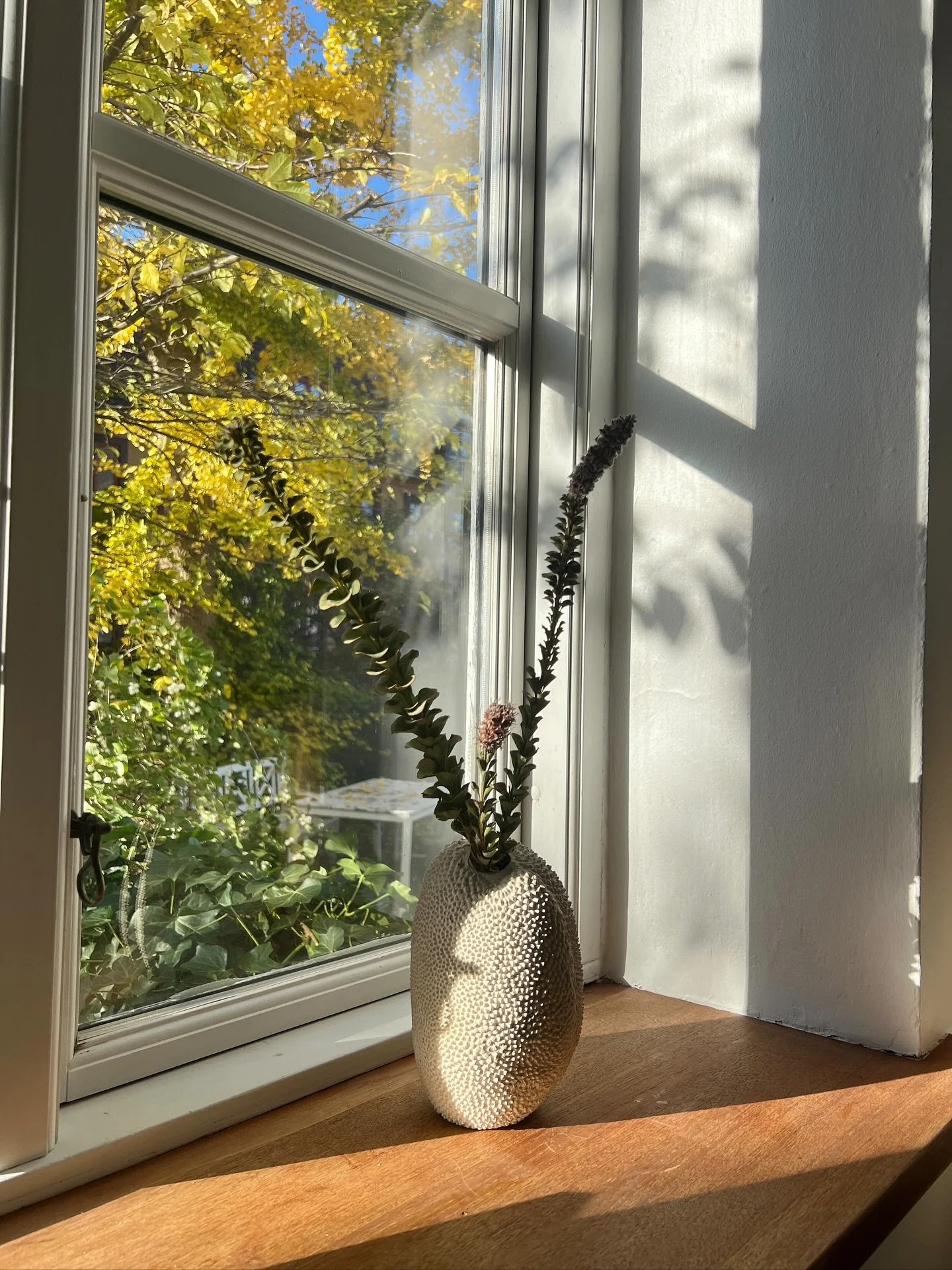 Autumn light, a postcard from Denmark 🍂✨ The Jaca Vase N&ordm;5 at home with @nellydeblanck