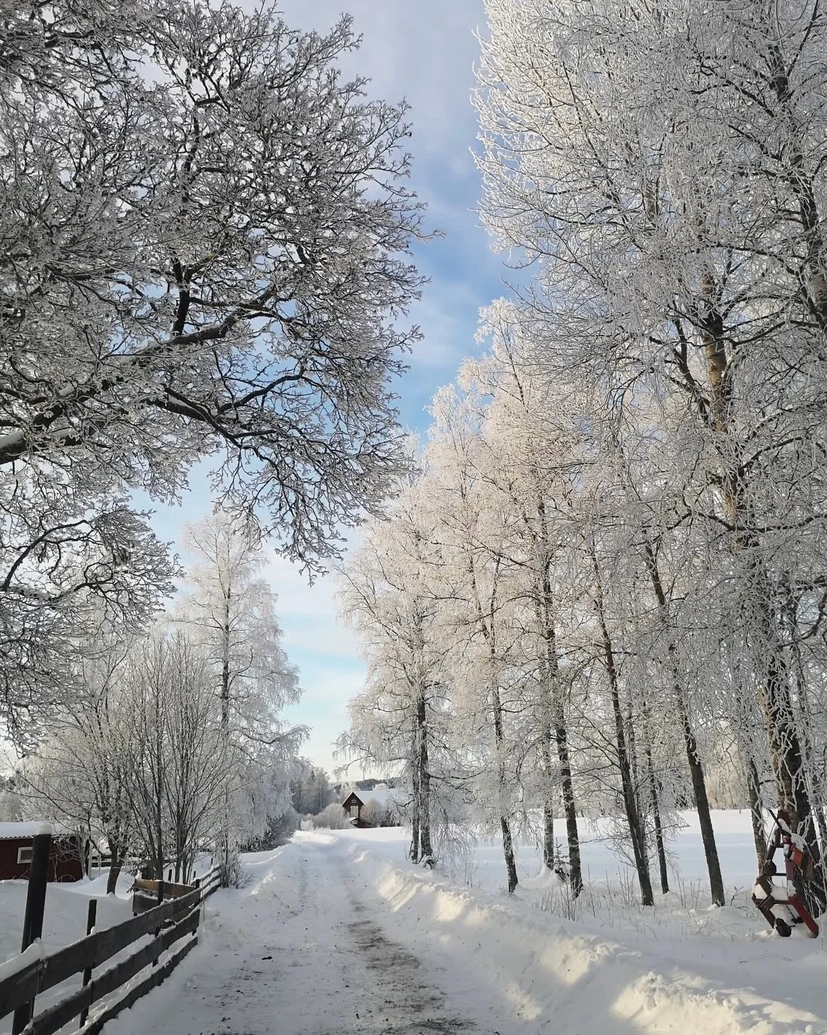 En stund i Sverige ❤️