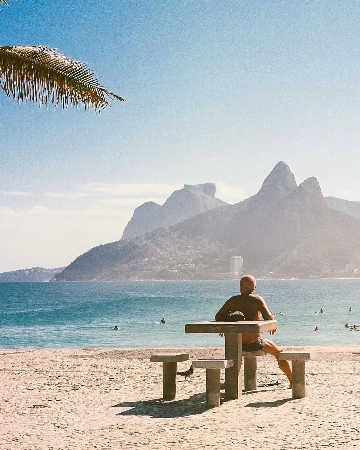 🇧🇷Through the lens of @averyswail