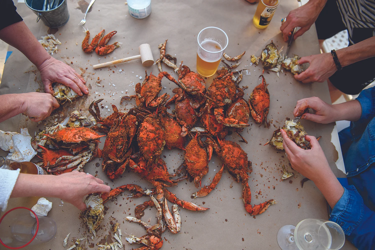 AMERICAN PICKERS Chesapeake Bay crabs turn orange when cooked, a color just barely visible underneath their salty and savory coating of Old Bay seasoning. Crab picking is a time honored art…which we almost mastered.
