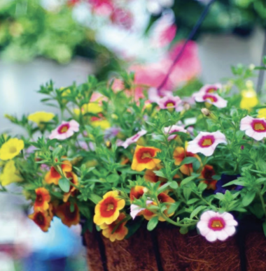 Screen Shot 2020-05-05 at 5.29.44 PM.png