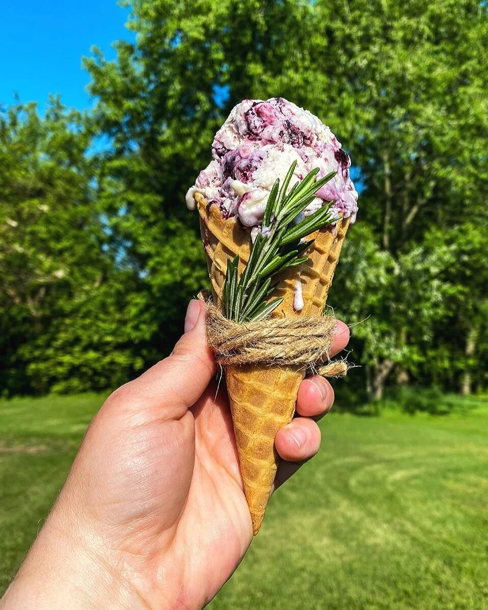 Vegan Blackberry Ice Cream