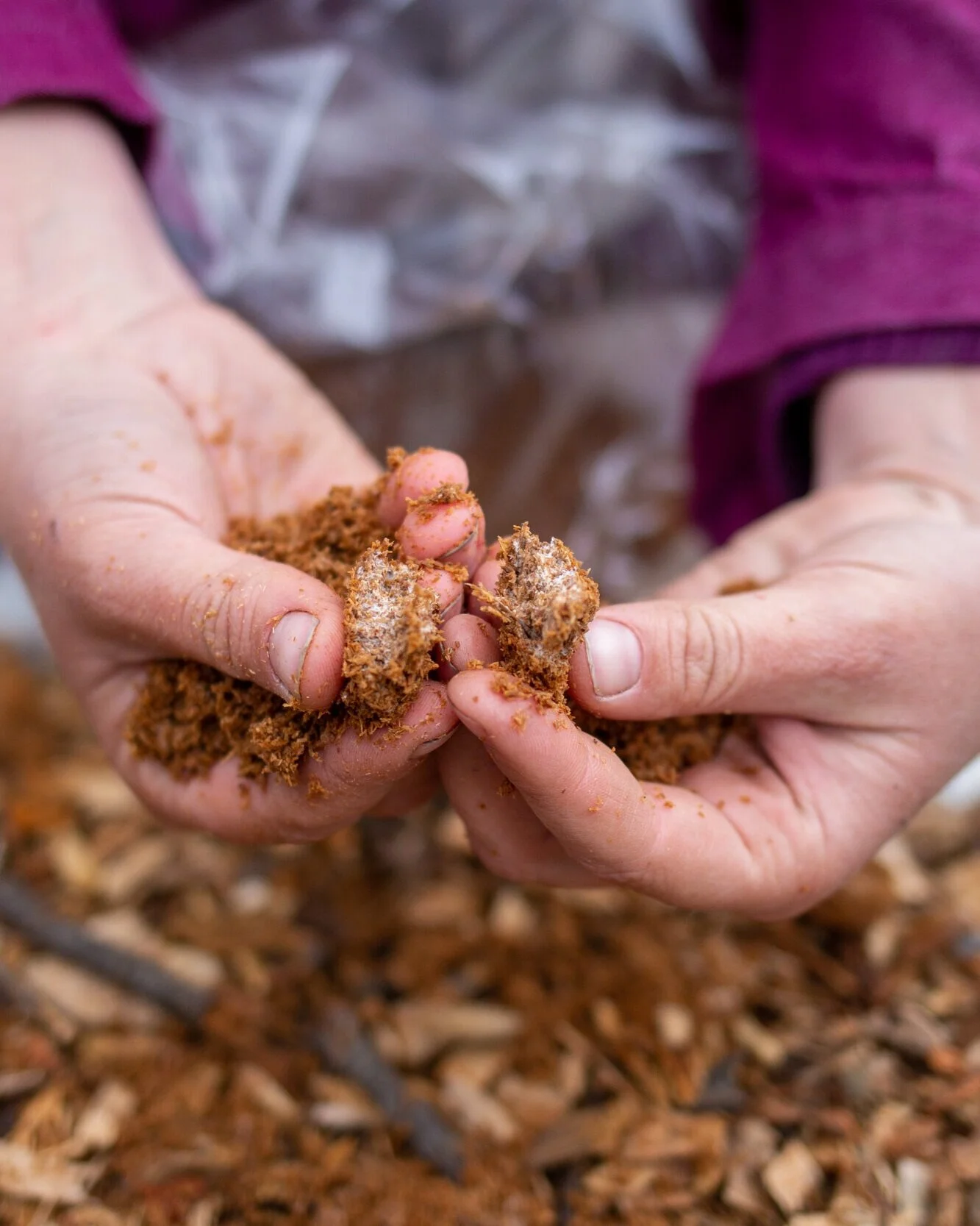 Backyard Farm School 