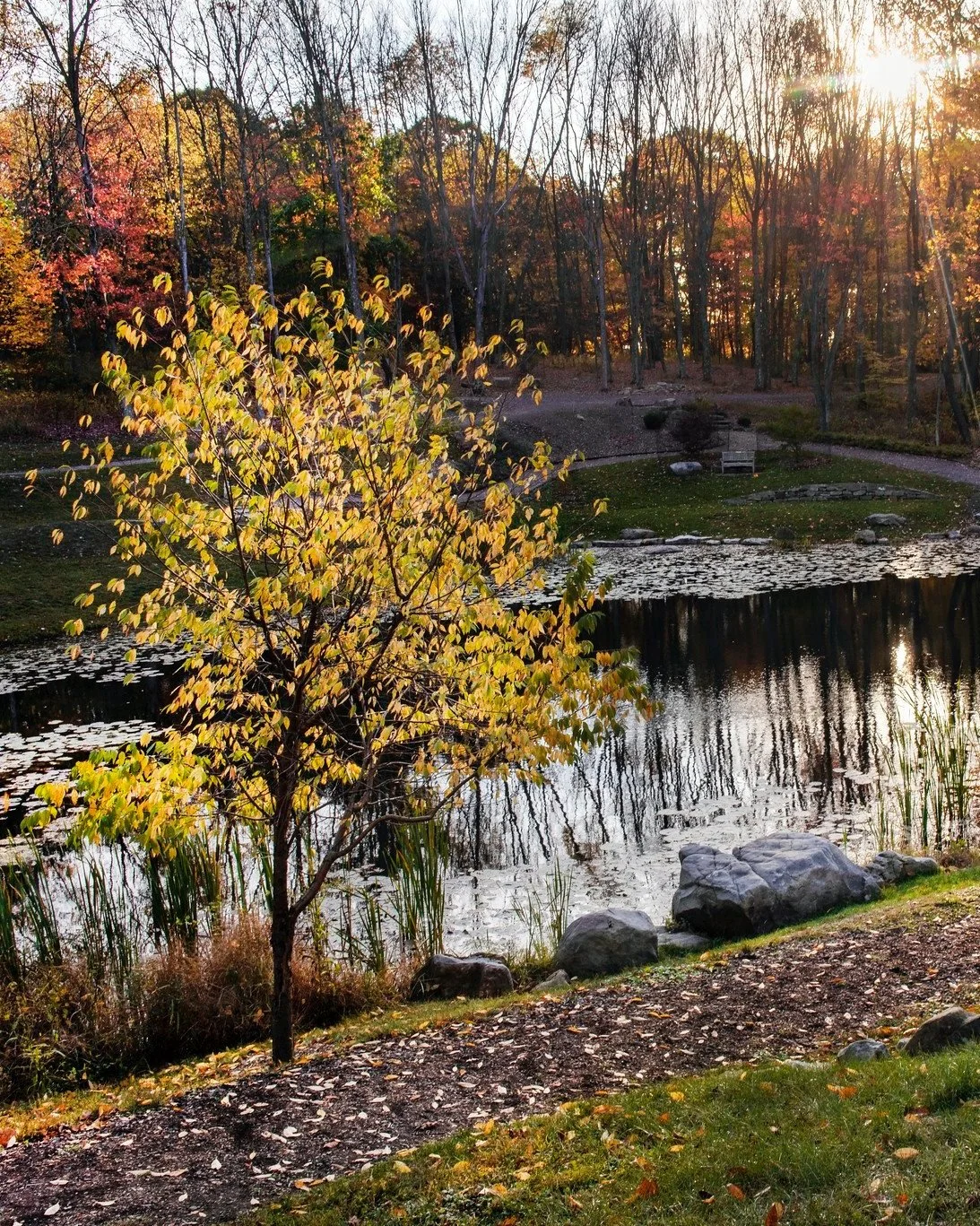 Giving Guide: Pittsburgh Botanic Garden