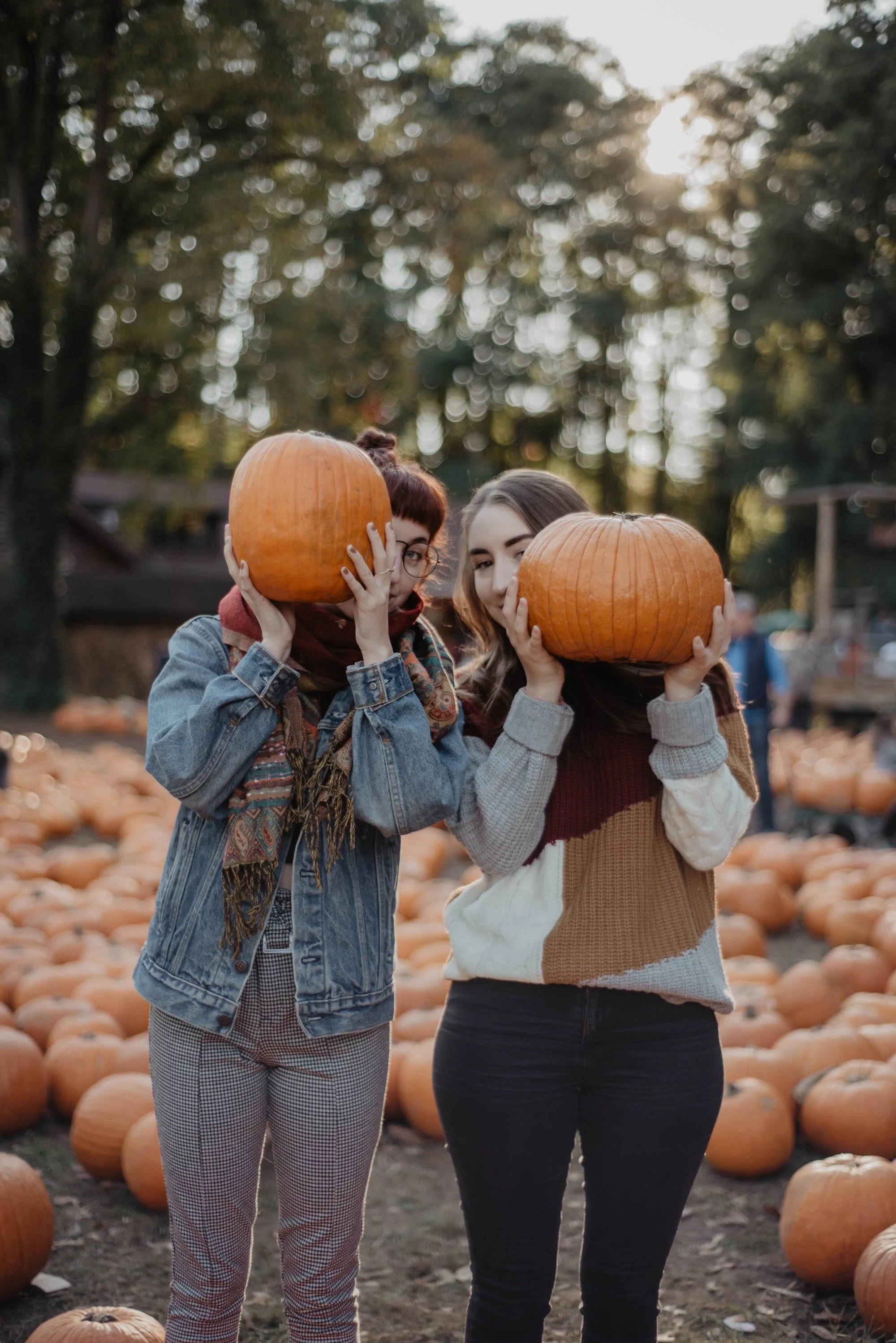 Pumpkin Picking Time