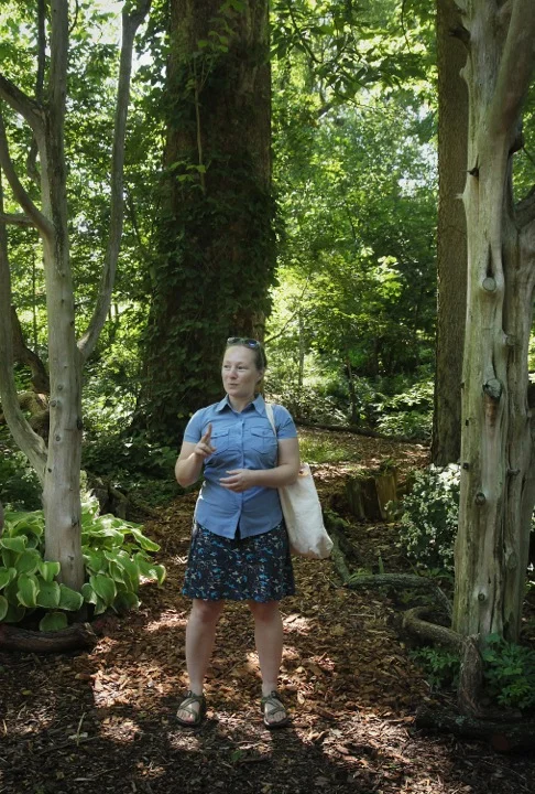 The Ralph Archer Woodland Garden at Whitehall Estate Gardens