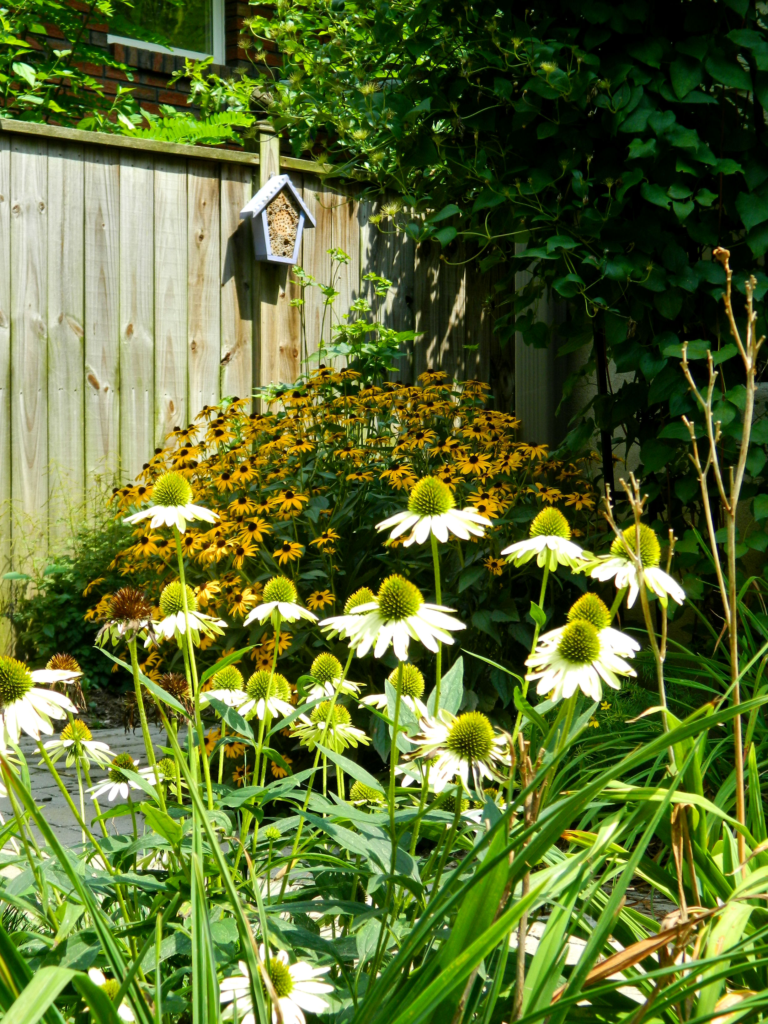 DSCN5246.jpg