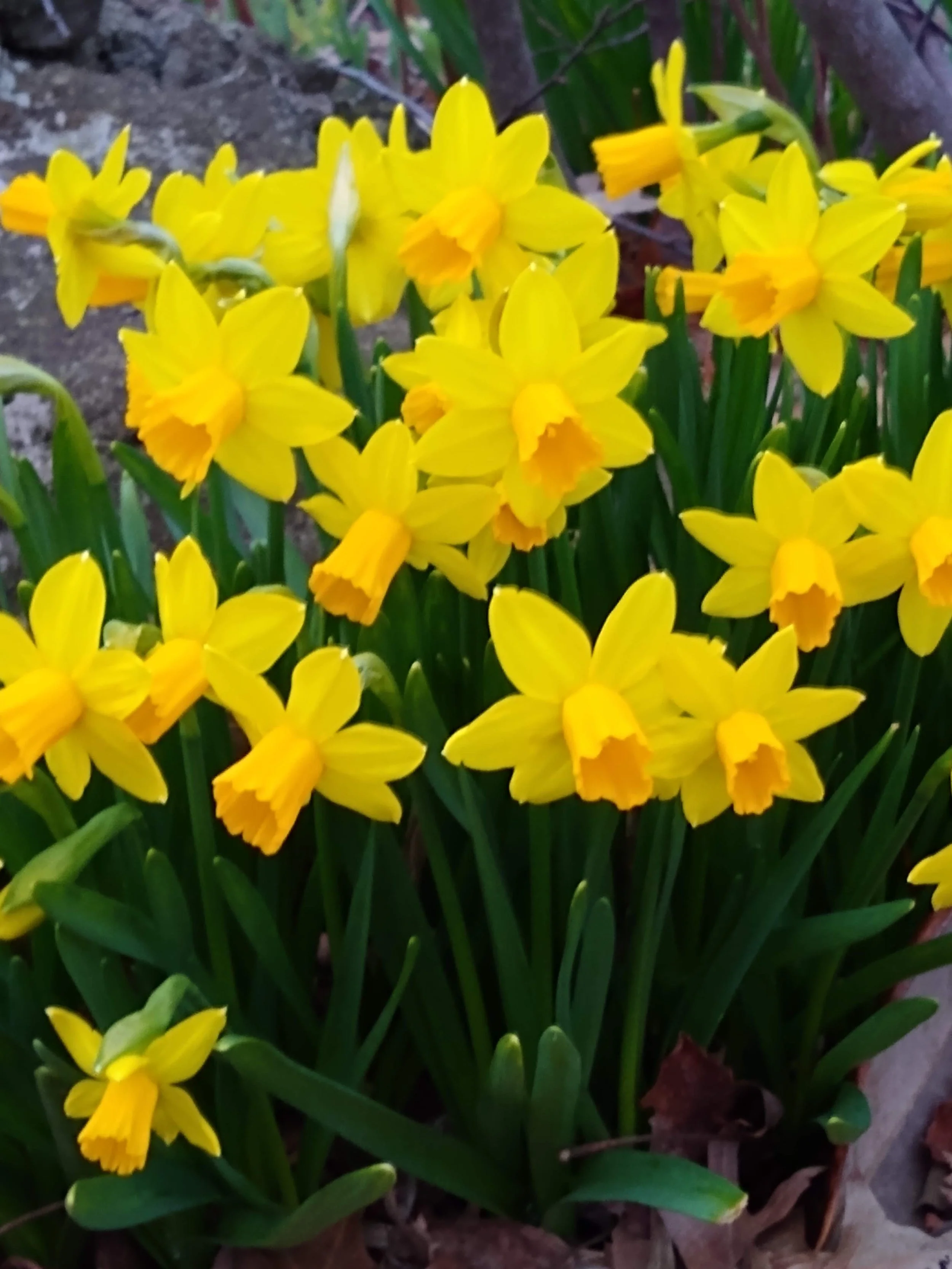 MG Terry - Beware of March!