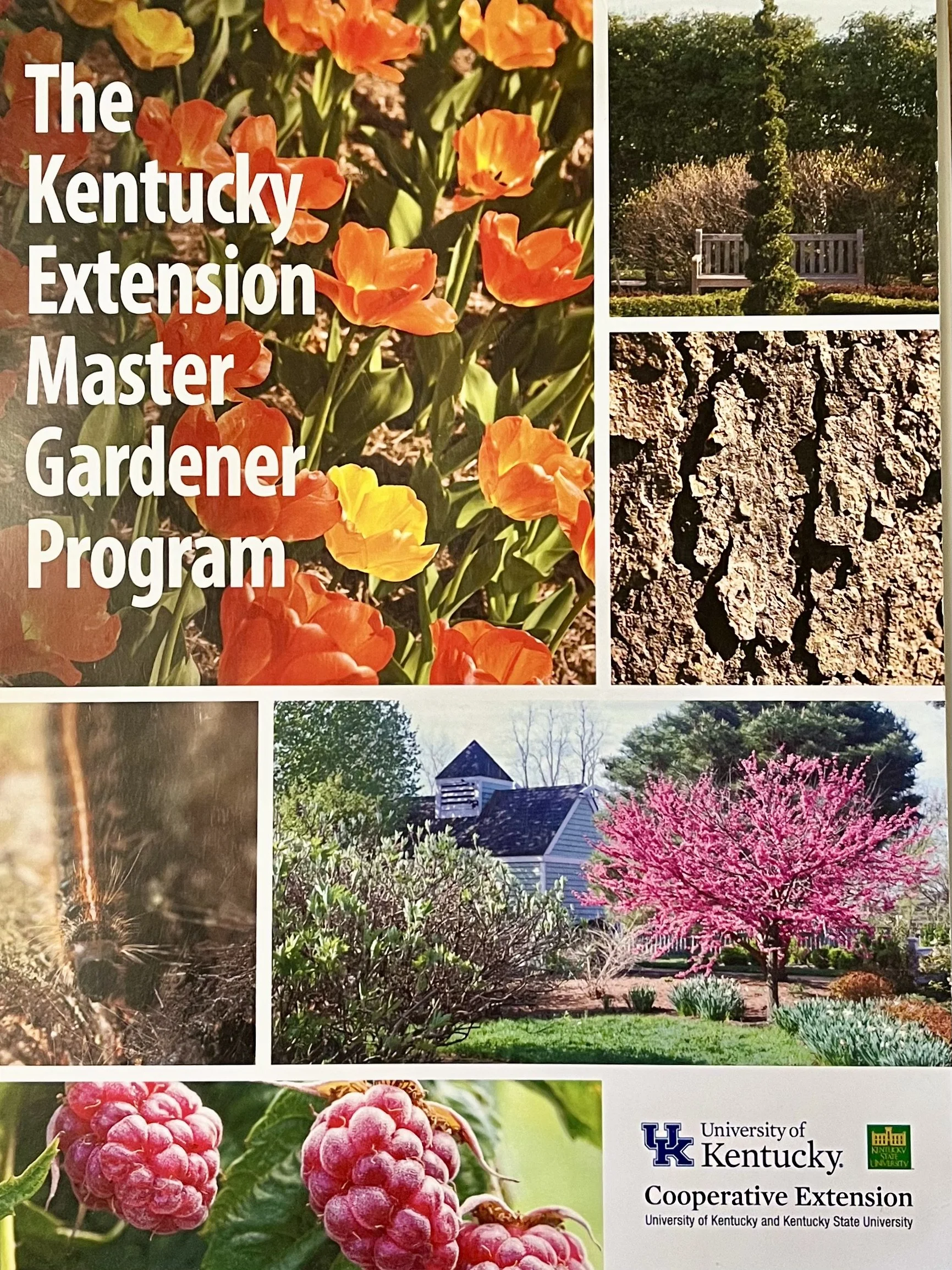 2026 MG Training Class