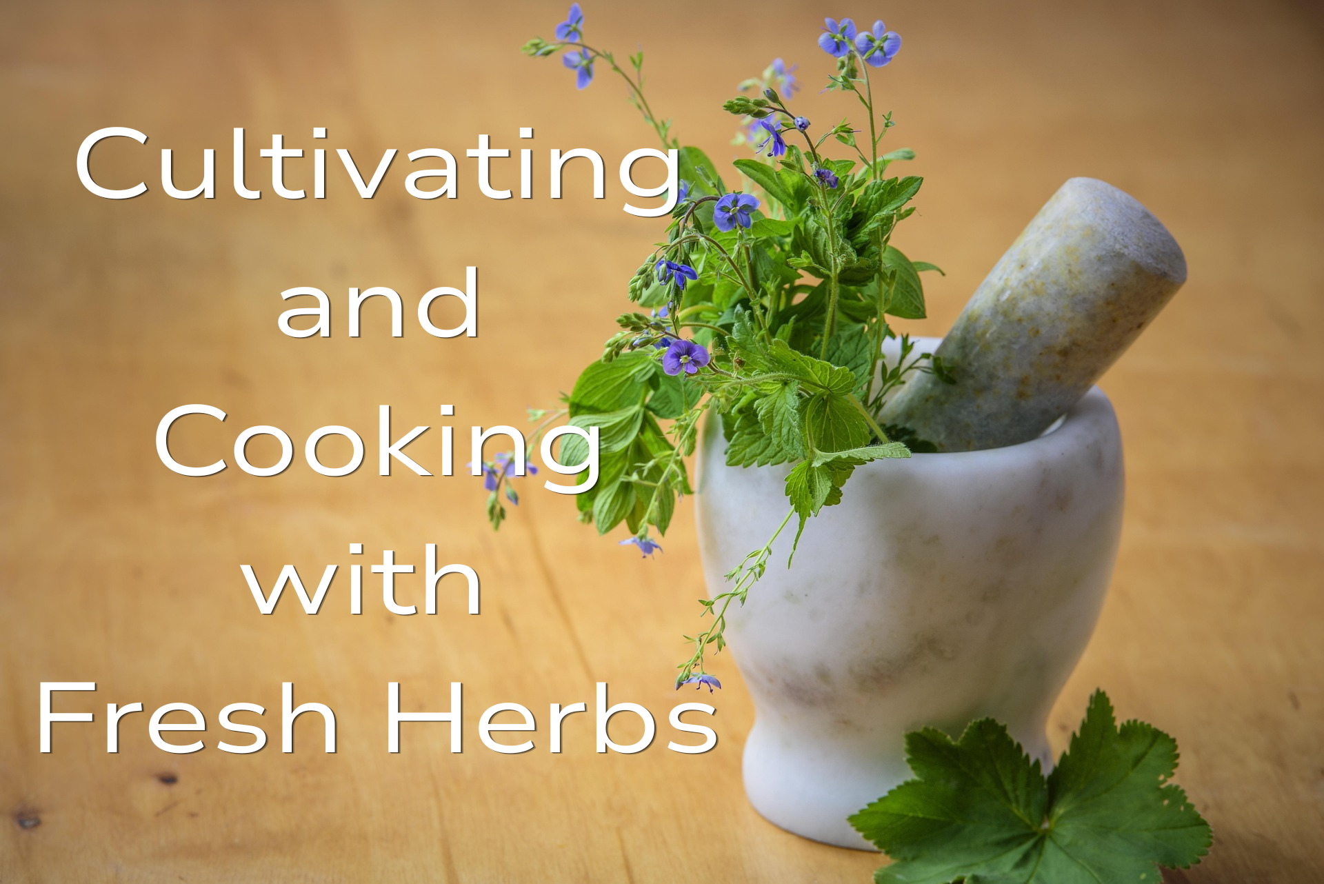 Cultivating and Cooking with Fresh Herbs