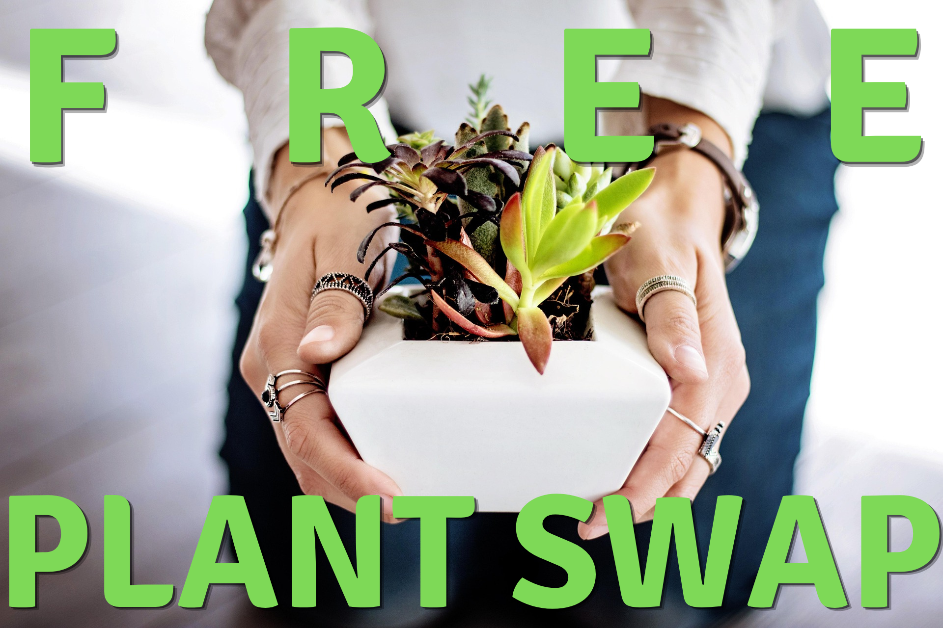 Free Plant Swap