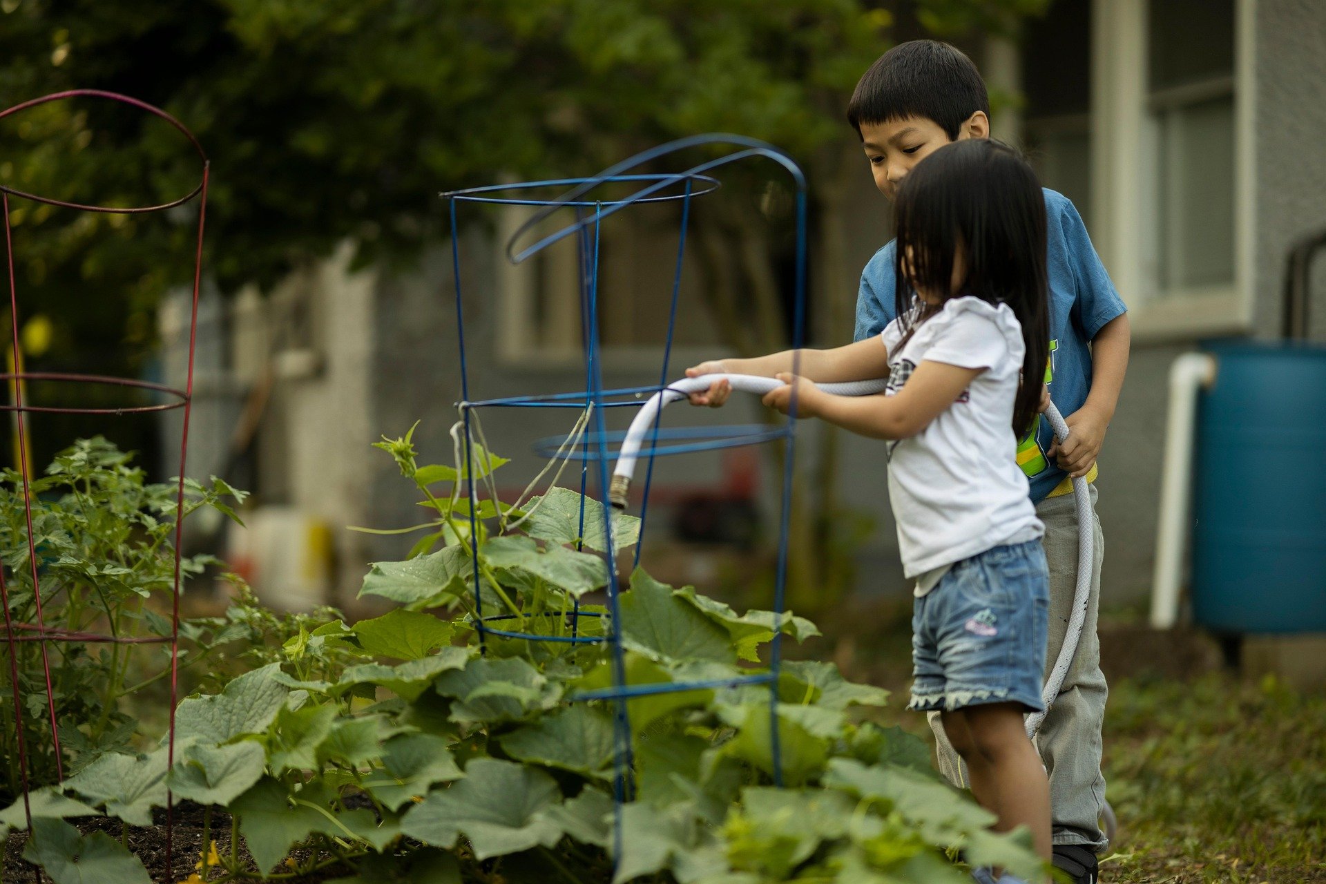 Farmington Historic Plantation – ‘Farmikids Grow!’