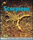 Scorpions