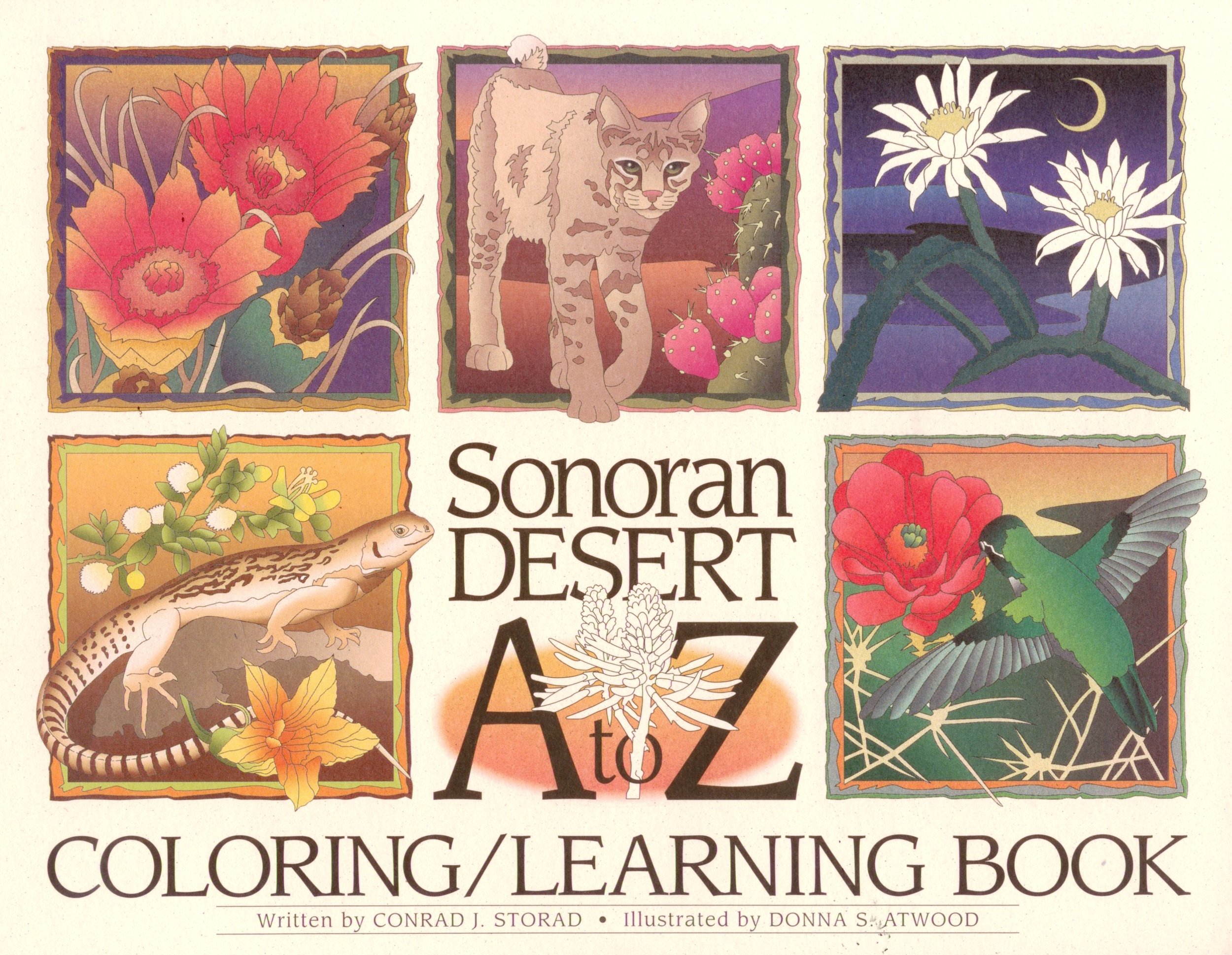 Sonoran Desert A to Z