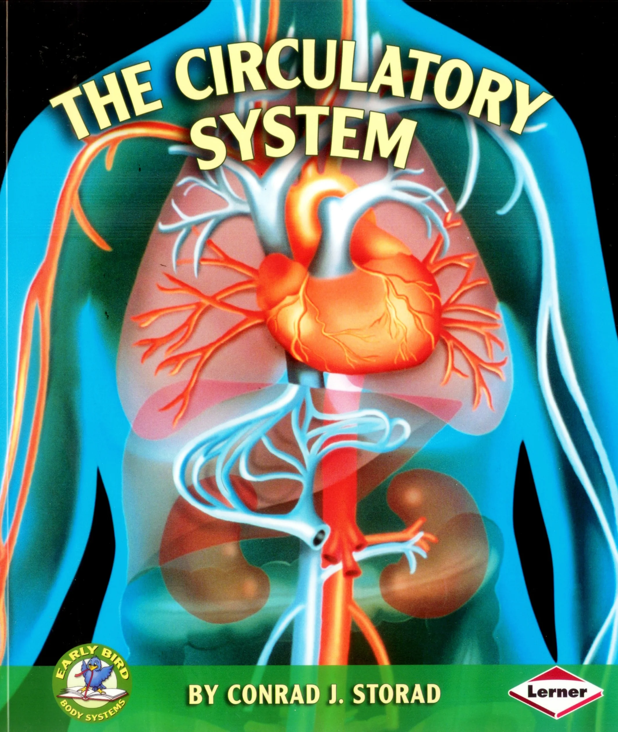 The Circulatory System
