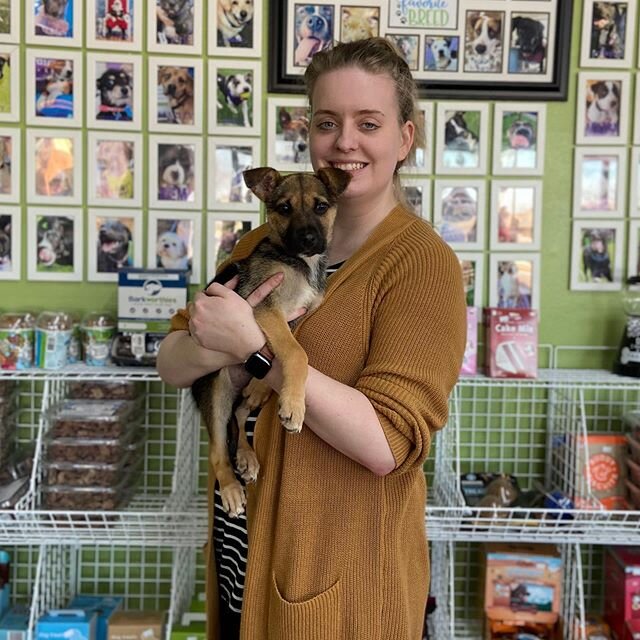 Sweet Emmie found her happily ever after today with a super cool mom. She also will have a beautiful Malamute sister who loves her already.. Happy Tails Sweet Girl!!!! #adoptadog #adoptadogsavealife #adoptdontshop🐾 #rescuedogsofinstagram #rescuedog 