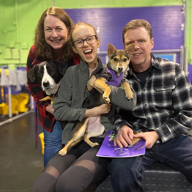 The picture tells the whole story with this family. Everyone fell in love at first sight with little Sophie. Her big sister Lucy is still trying to figure out how she ended up going home with a second dog, but you could tell she was happy to have ano