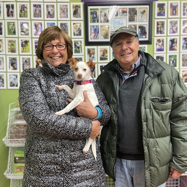 Another happily ever after starts today for sweet Jazzy. This little snuggle bug is so excited to make the most of her new life with her mom and dad, who already love her so very much. The perfect way to start the weekend!! #adoptadog #adoptdontshop?