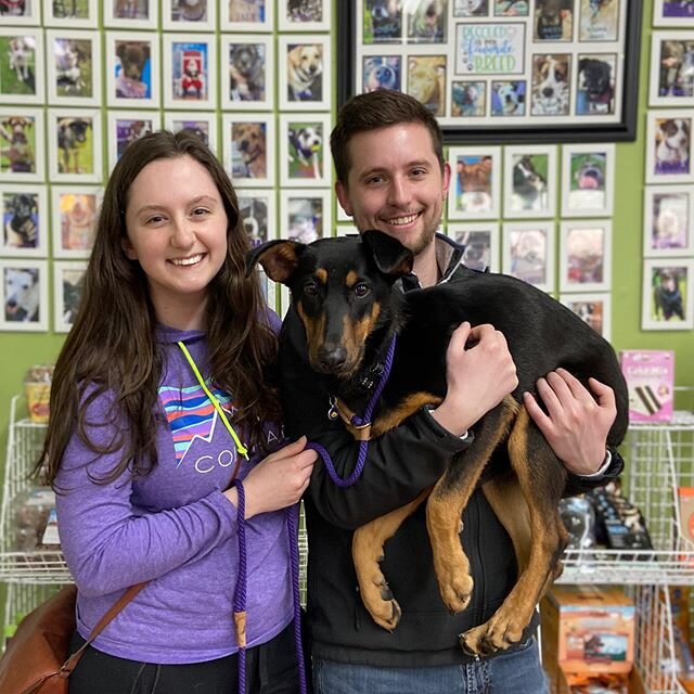 After a full day playing outside, Ivy found her forever home today. This sweet girl takes a minute to warm up, but has the biggest heart and loves completely. I know she will be loved and have an amazing life. Happy Tails Sweet Girl! #happytails #ado