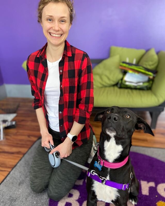 Look at this sweet girl....ready to start her new life with her new mom. Sallie has finally found her happily ever after. We are so excited to watch her grow in her new life!

Special thanks for Matt, Kim, Bodi and Bandit for giving Sallie a foster h