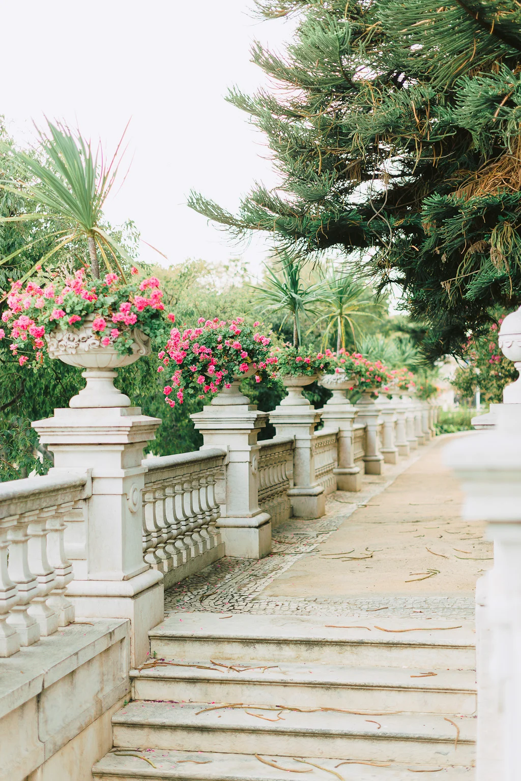 2018 09 10_00545.JPG