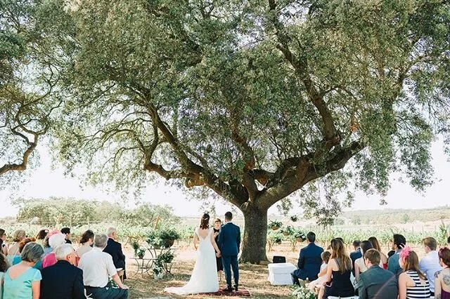 We miss those days where our couples can get married under a beautiful tree with their families and friends.
#bride #weddingdress #bridetobe #style #weddingideas #weddinginspo #instawedding #bridal #weddingseason #engagement #weddingdecor #decor #wed