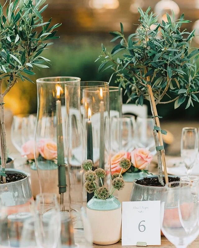 C+B
Styling, planning and flowers @parquedapenha 
Catering @acafraocatering
Venue @malhadinhanova 
#umdiadesonho #weddingday #parquedapenha #weddingphotography #bridal #weddinginspiration #weddingphotographer #groom #underthefloralspell #weddings #br