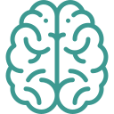 brain.png