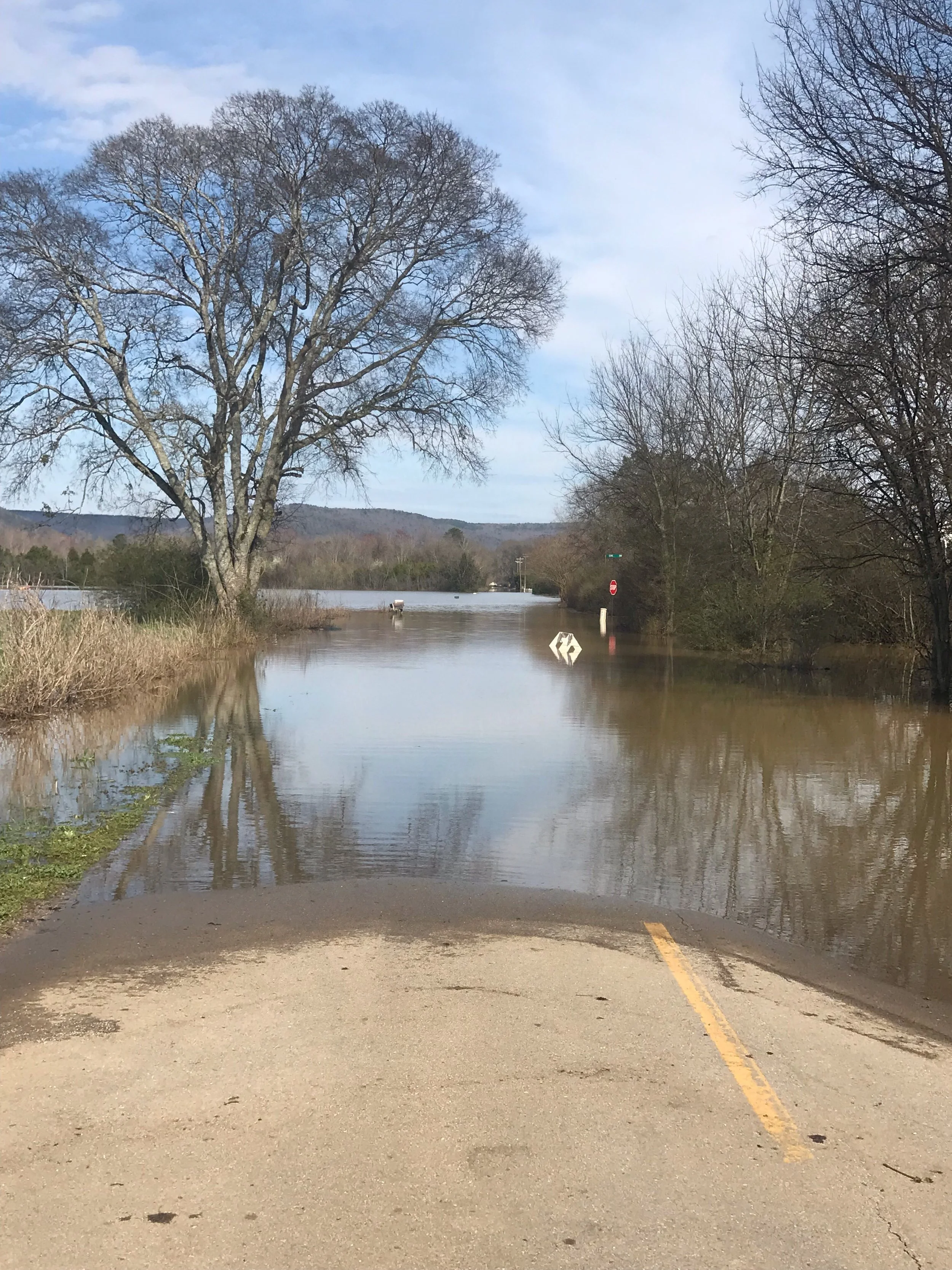 Lacey Flooding 2019