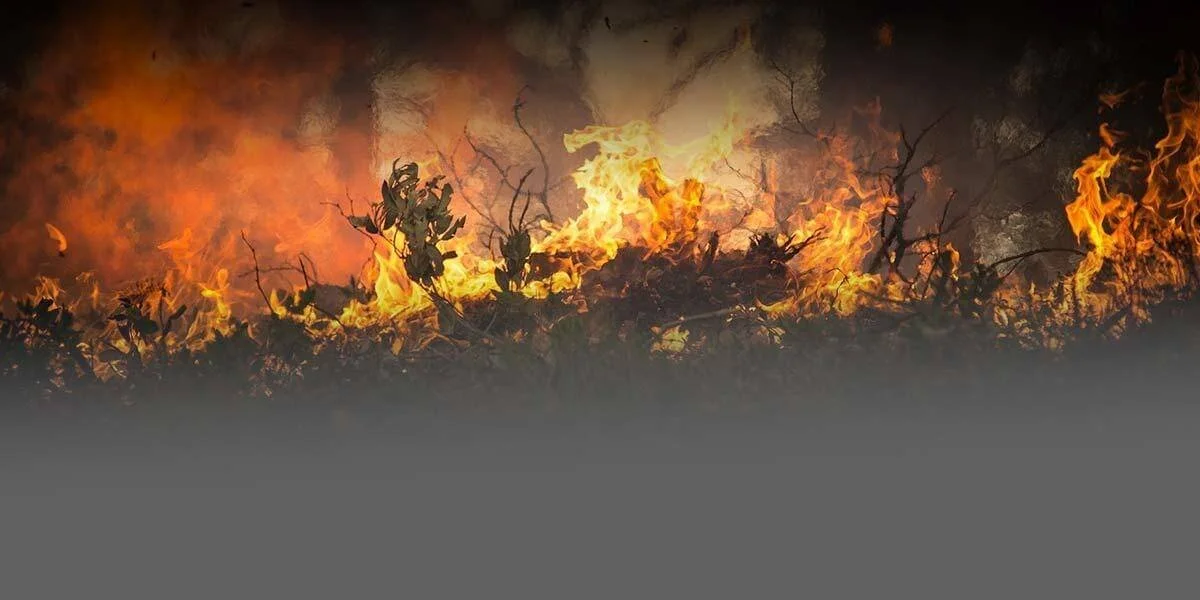 Wildfires
