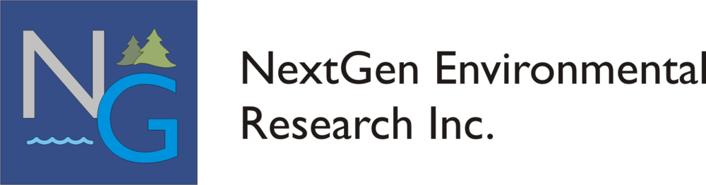 NextGen+Letter+header+black+text.png