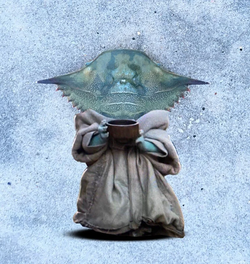 baby-yoda-crab_edited.JPG