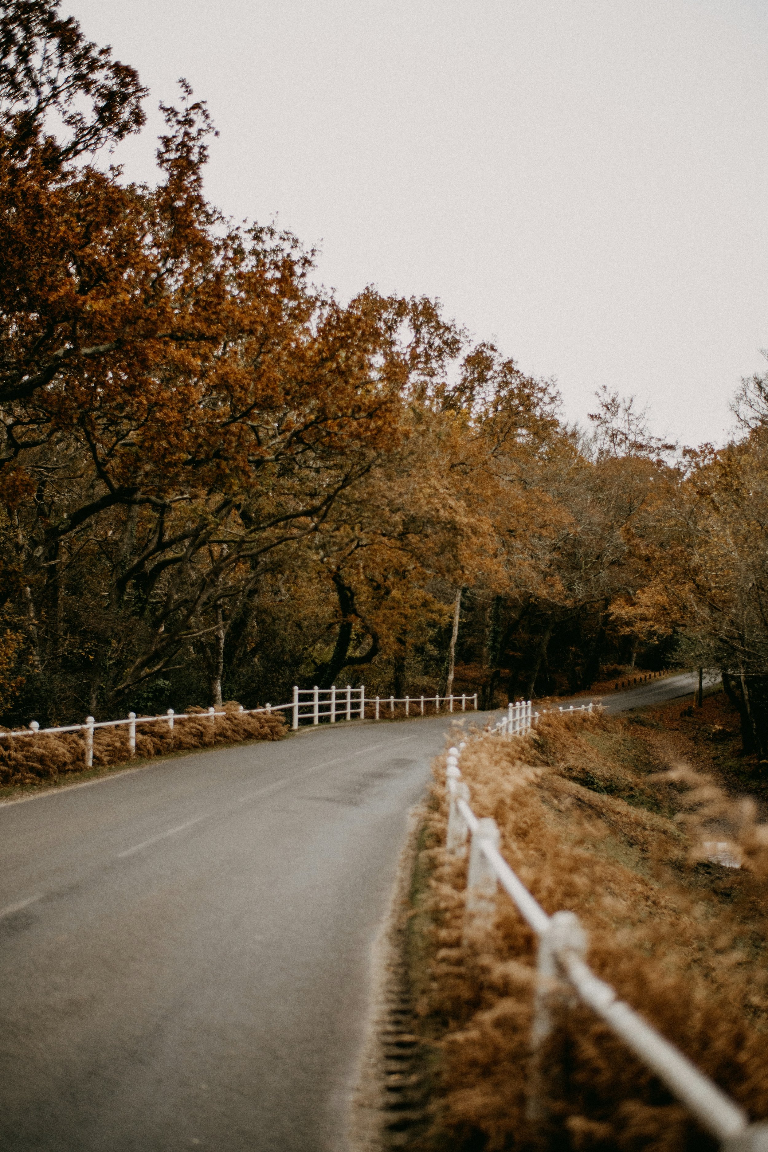 The Psychology of Place Attachment: Why Leaving a Place Can Break Your Heart