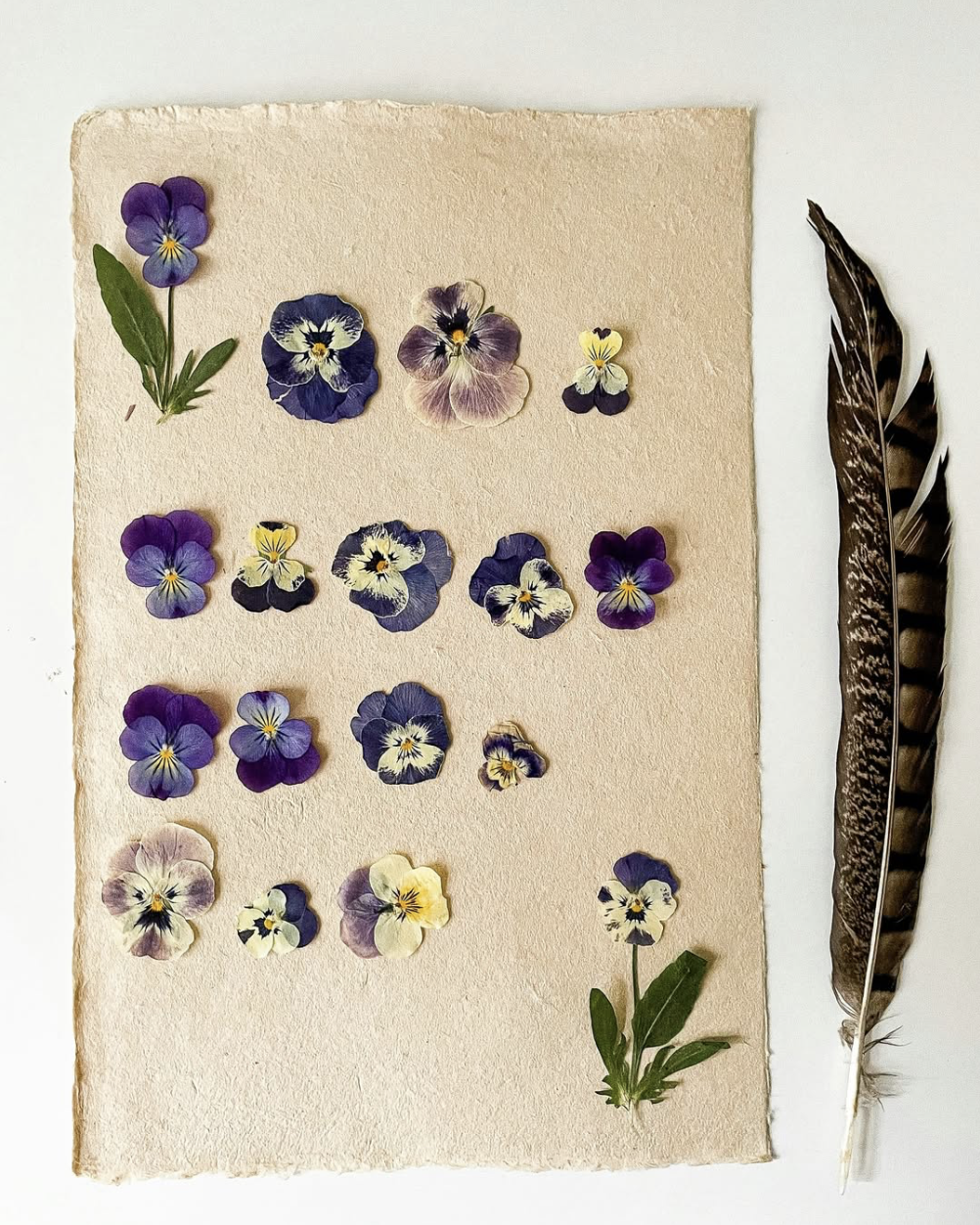 Screenshot 2026-02-04 at 11.36.15 AM.png