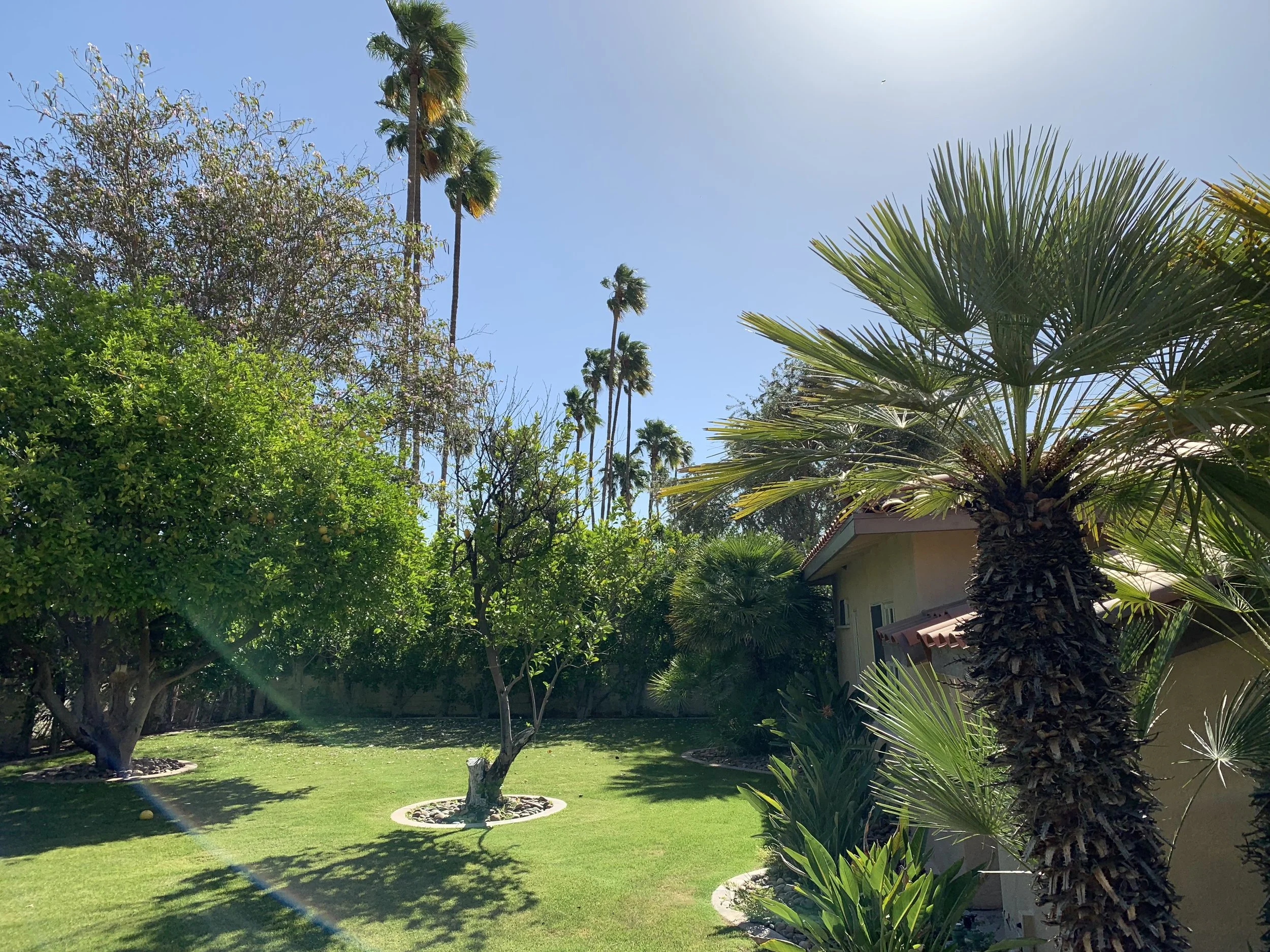 IMG_4116 Front yard.JPG