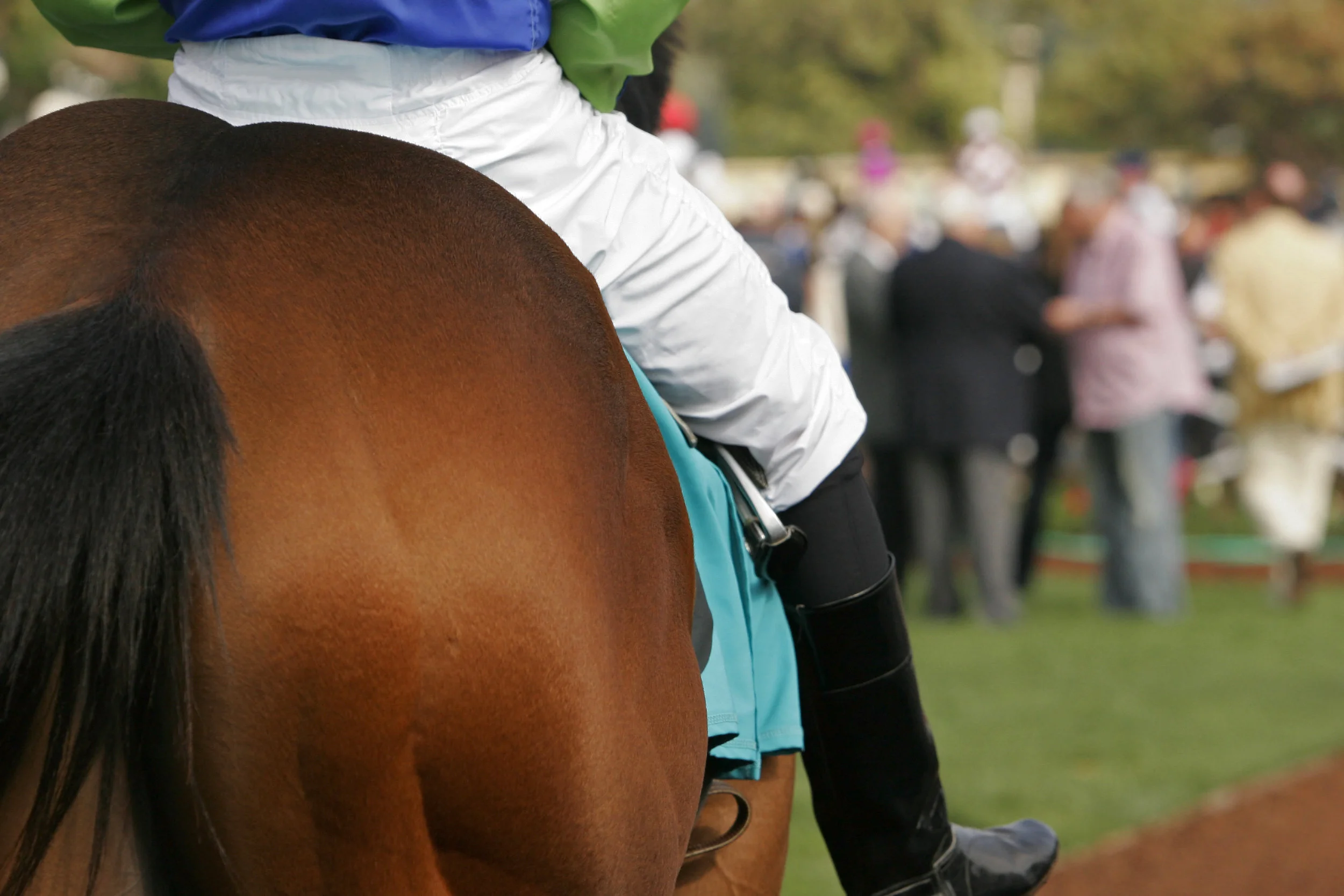 Wolfgang_Puck_Breeder's_Cup.jpg