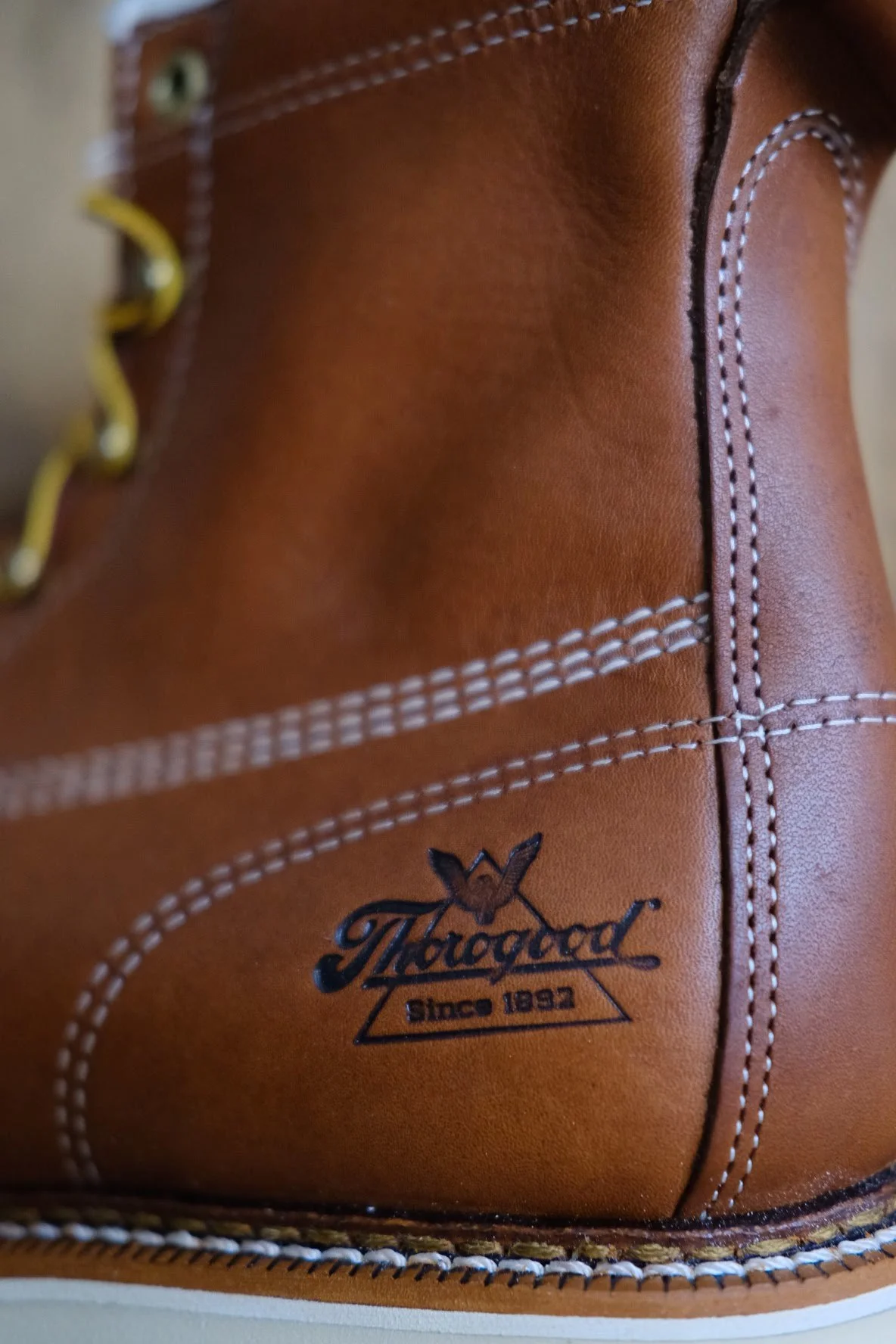 thorogood_003.JPG