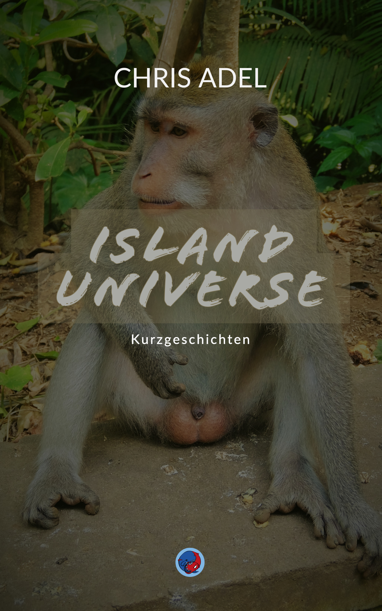 Book Cover Island Universe.jpg
