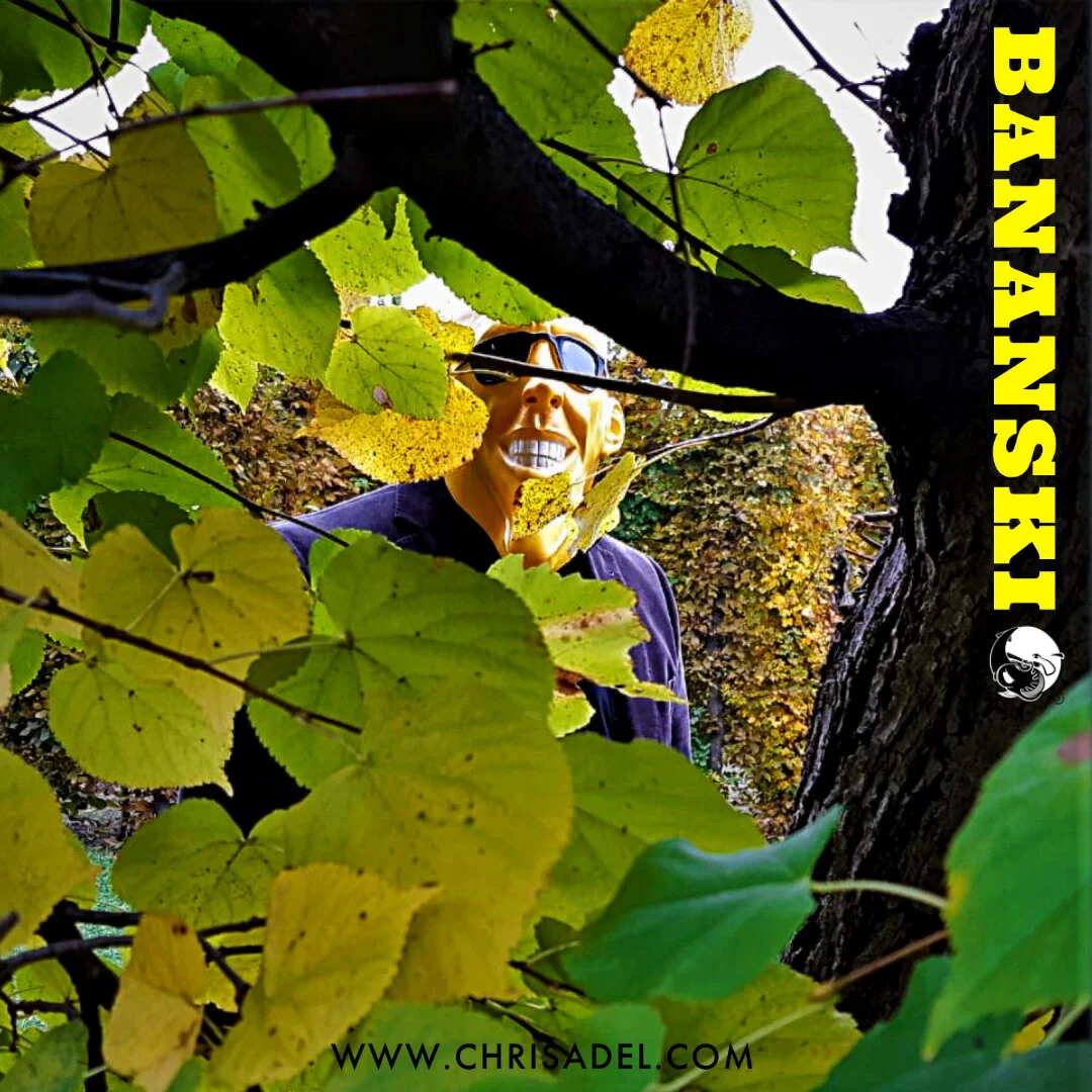 #Leseprobe BANANSKI (Episode 1) 