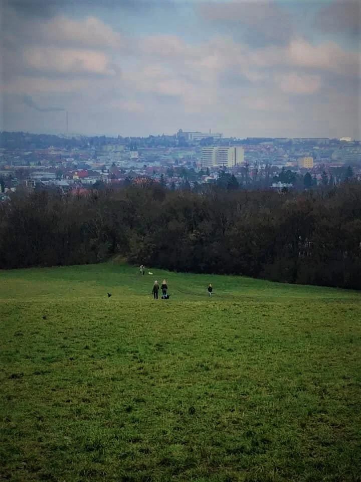 Stilübung für Anfänger #5 (DE)