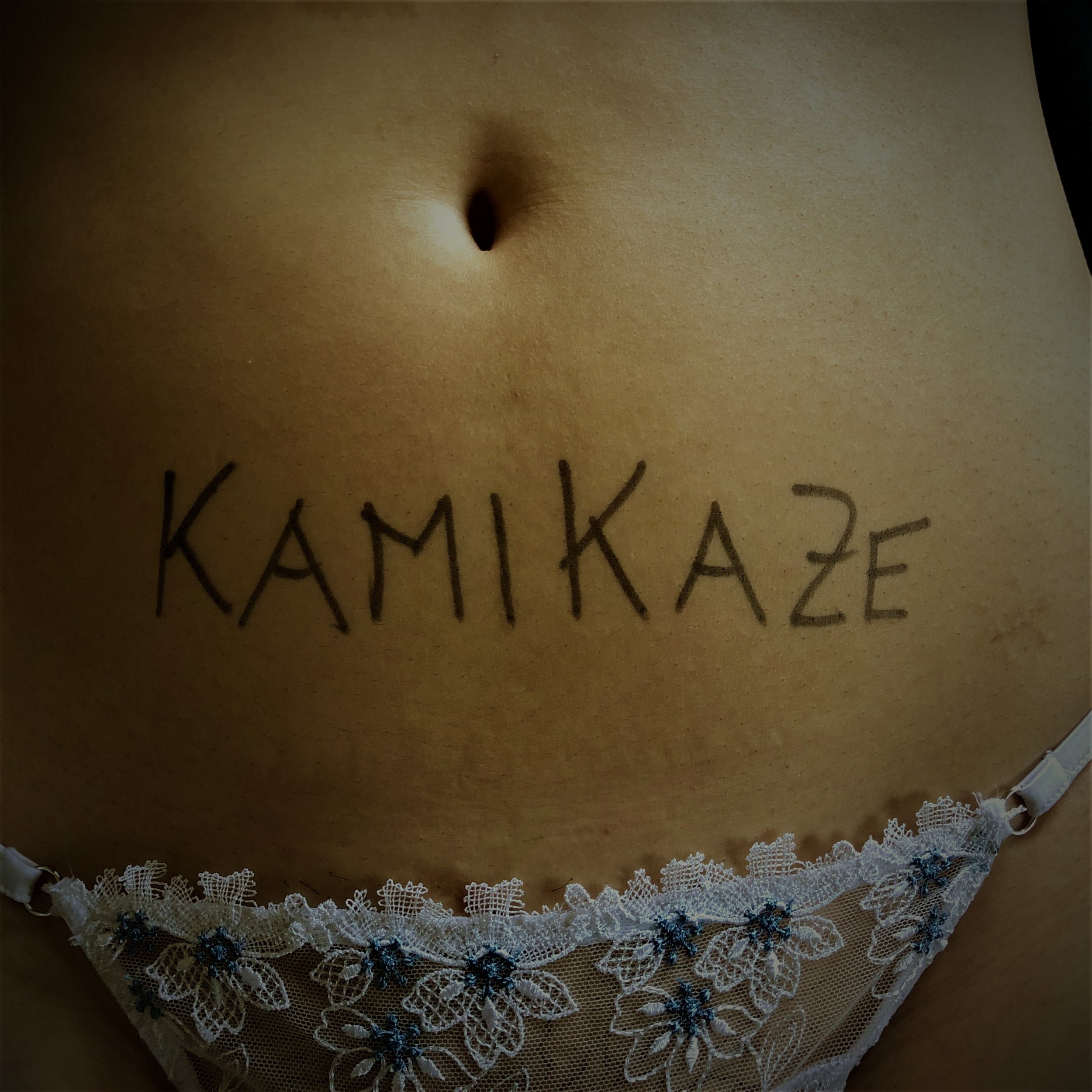 Leseprobe "KAMIKAZE"