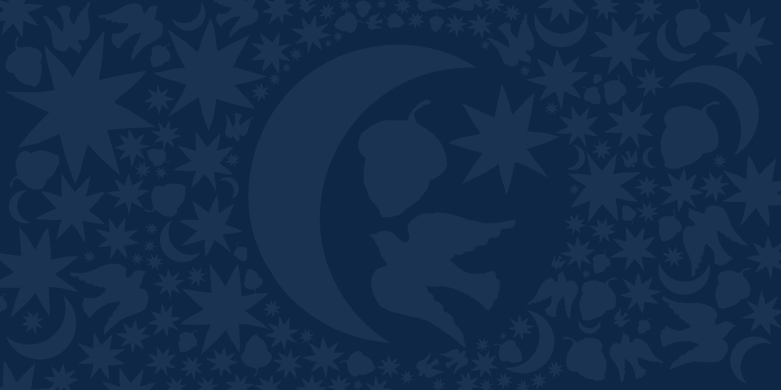 Website Banner - Lumi 26.png