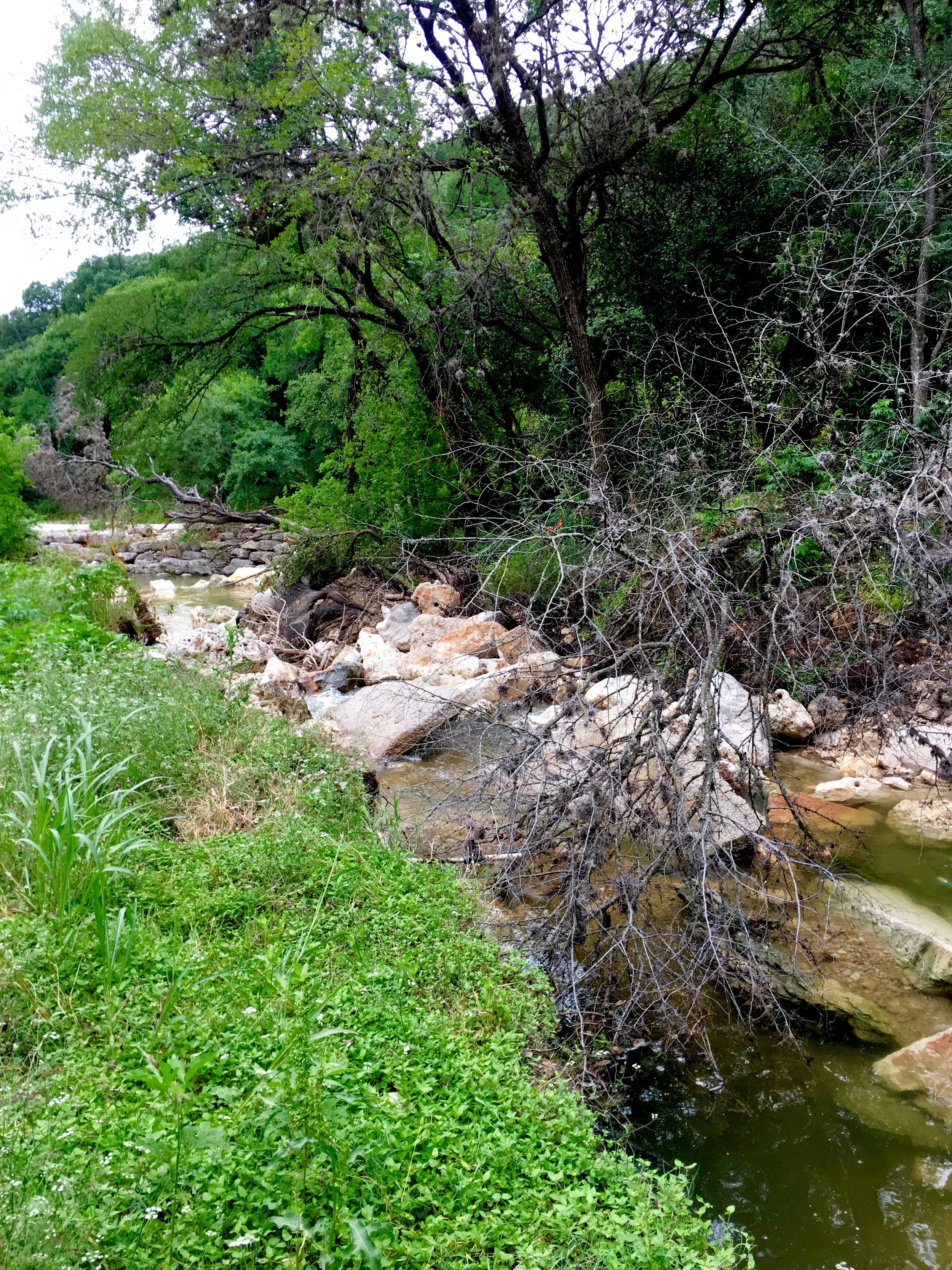 Slope Failure in Wooten Woods